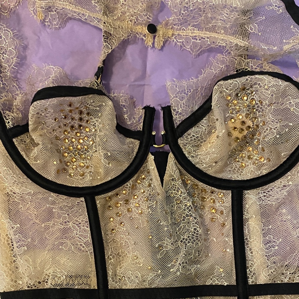 Victoria's Secret 2014 Fashion Show
 Chantilly Lace
Corset 36C - Picture 2 of 2
